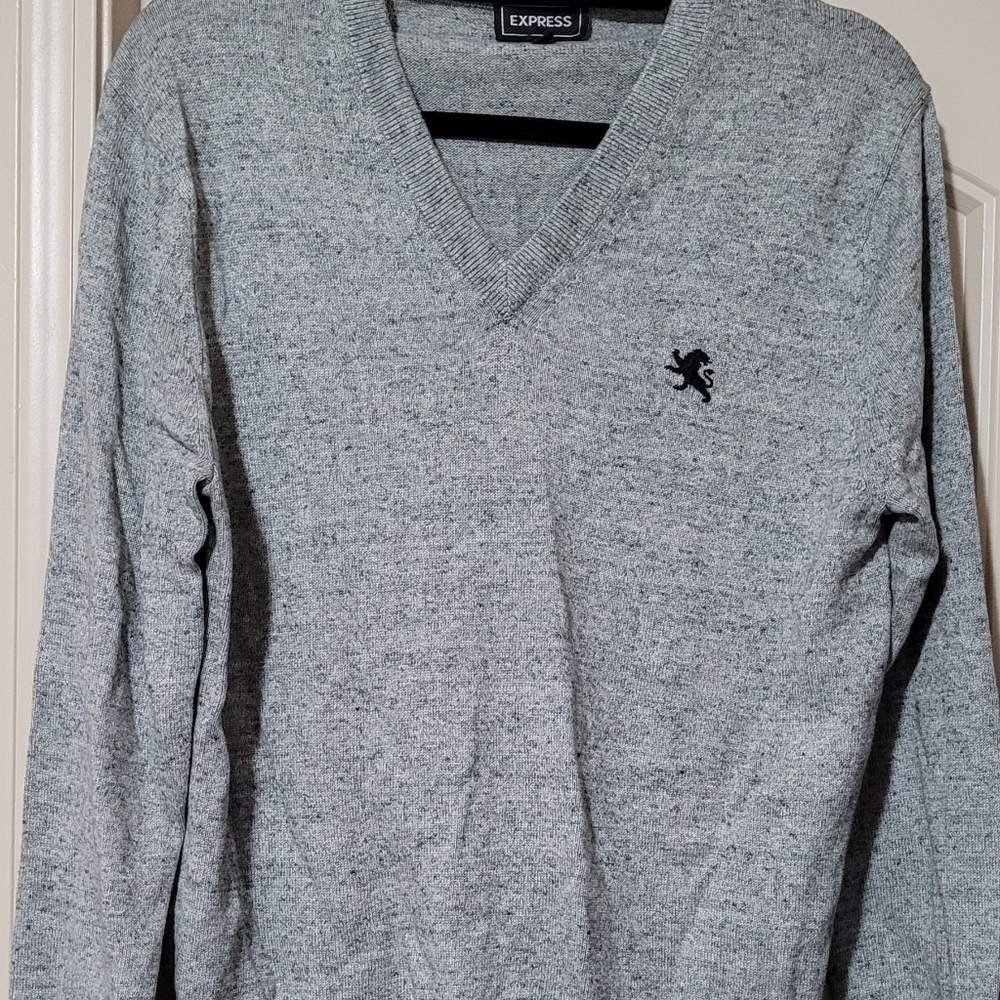 Express Men's Sweater